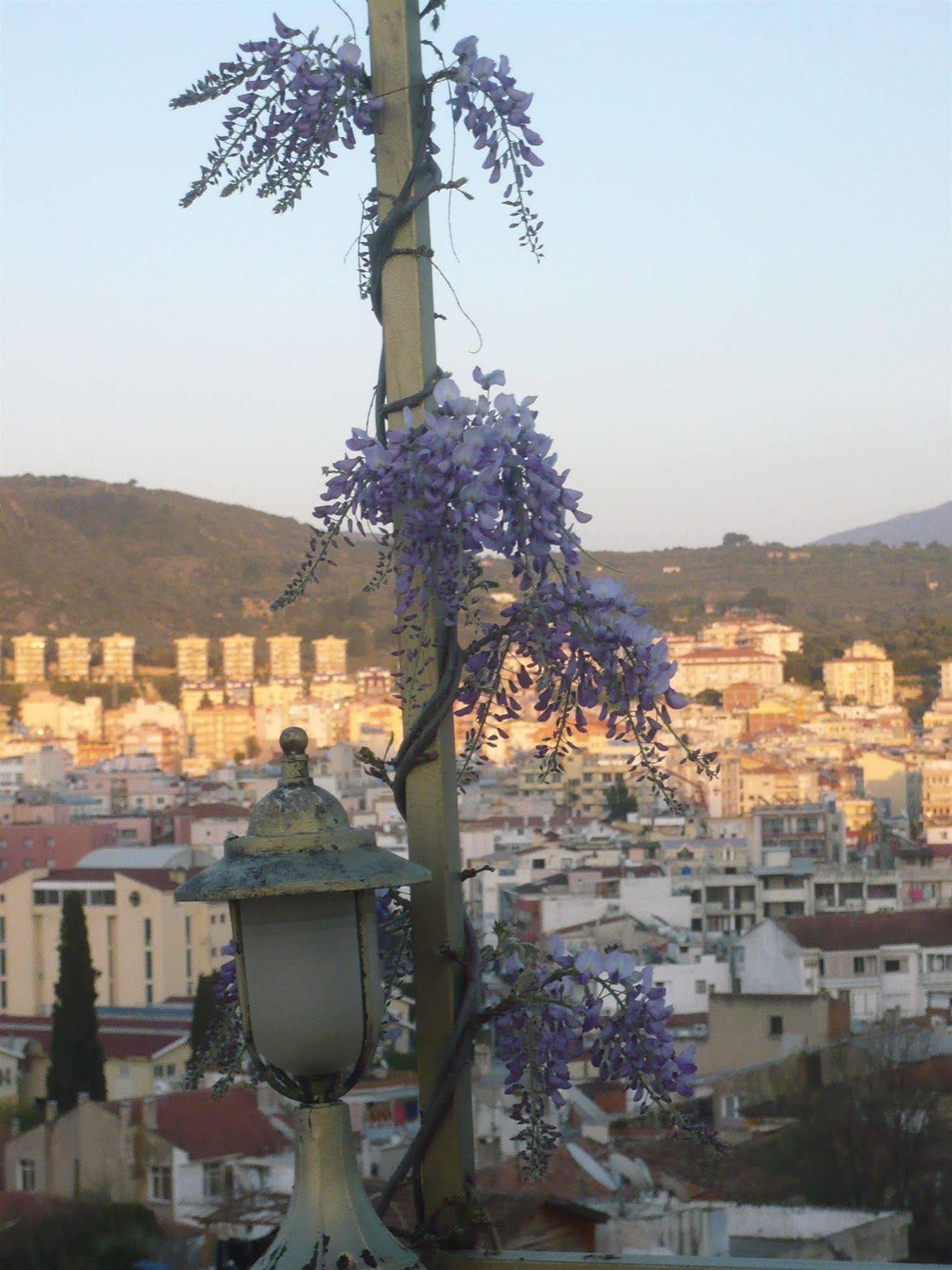 Anzac Golden Bed * Kuşadası