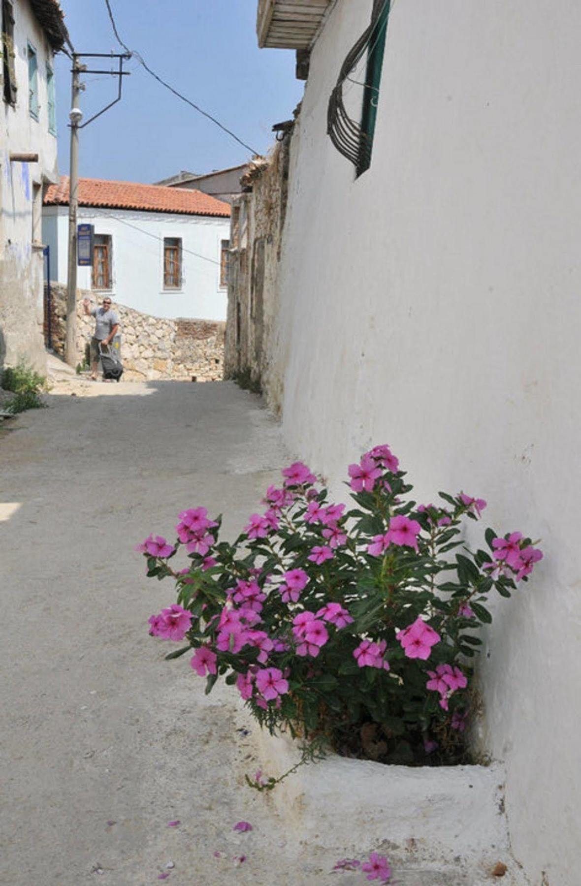 Anzac Golden Bed Kuşadası